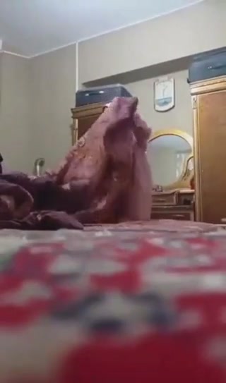 vidara.to