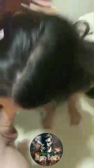 vidara.to