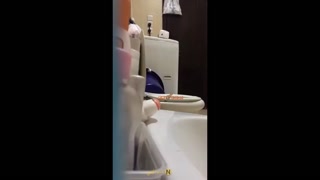 vidara.to
