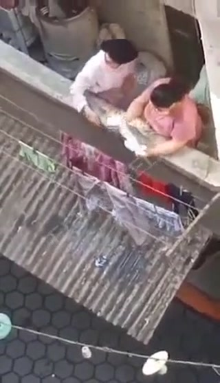 vidara.to