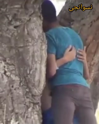 vidara.to