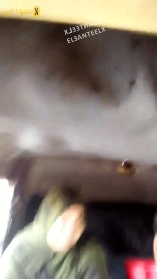 vidara.to