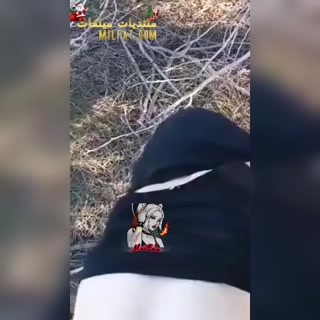 vidara.to