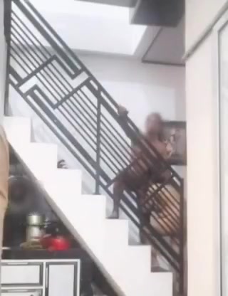Ngewe Ditangga Rumah